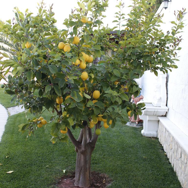 B&B Barletta Acasamia Con Parcheggio Privato Dış mekan fotoğraf